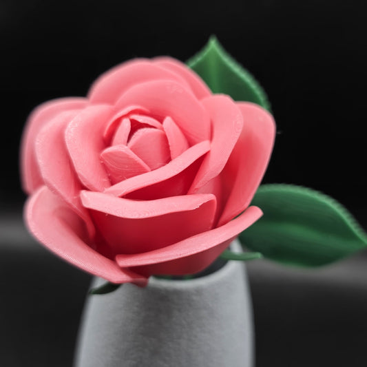 Vaso com Rosa