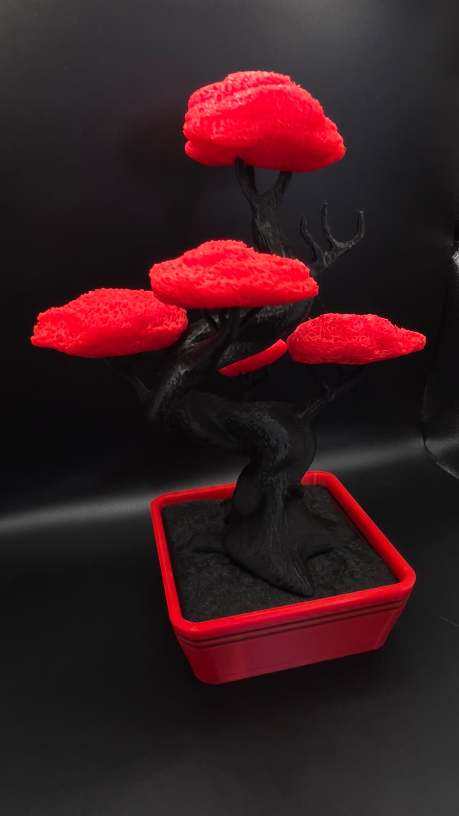 Bonsai