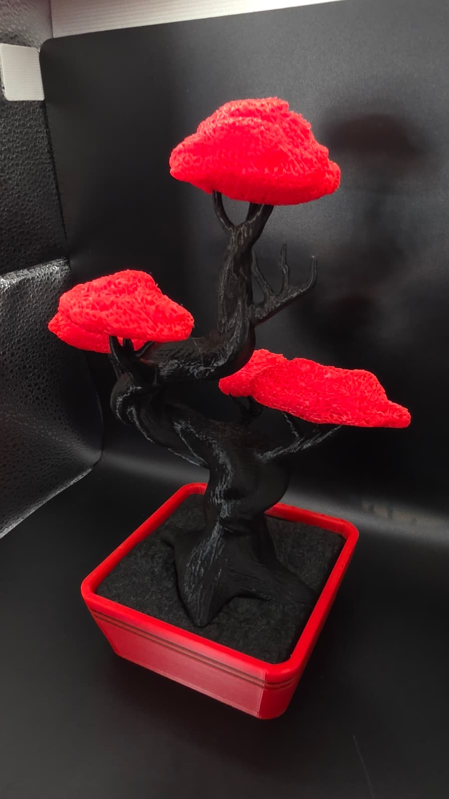 Bonsai