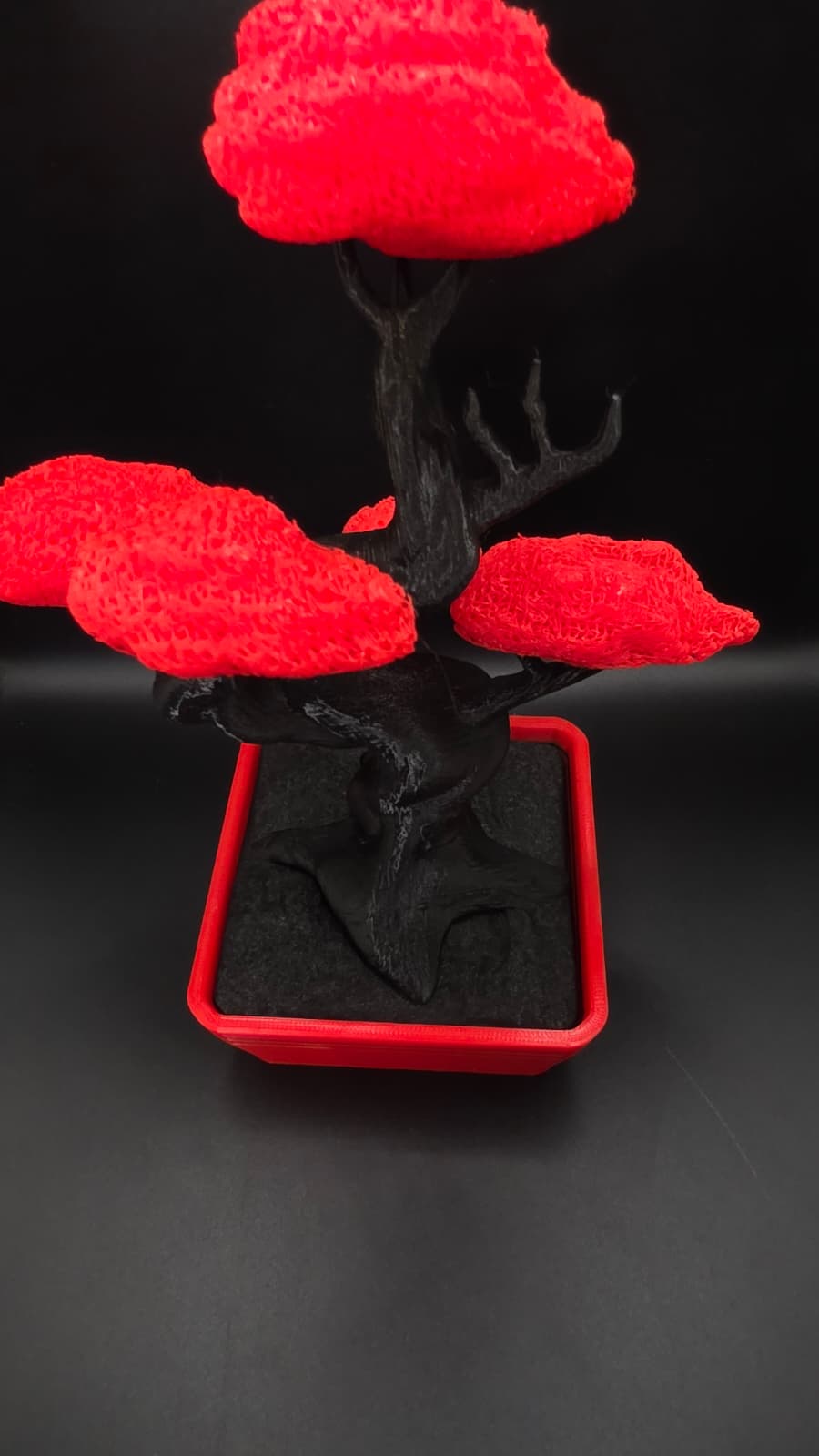 Bonsai