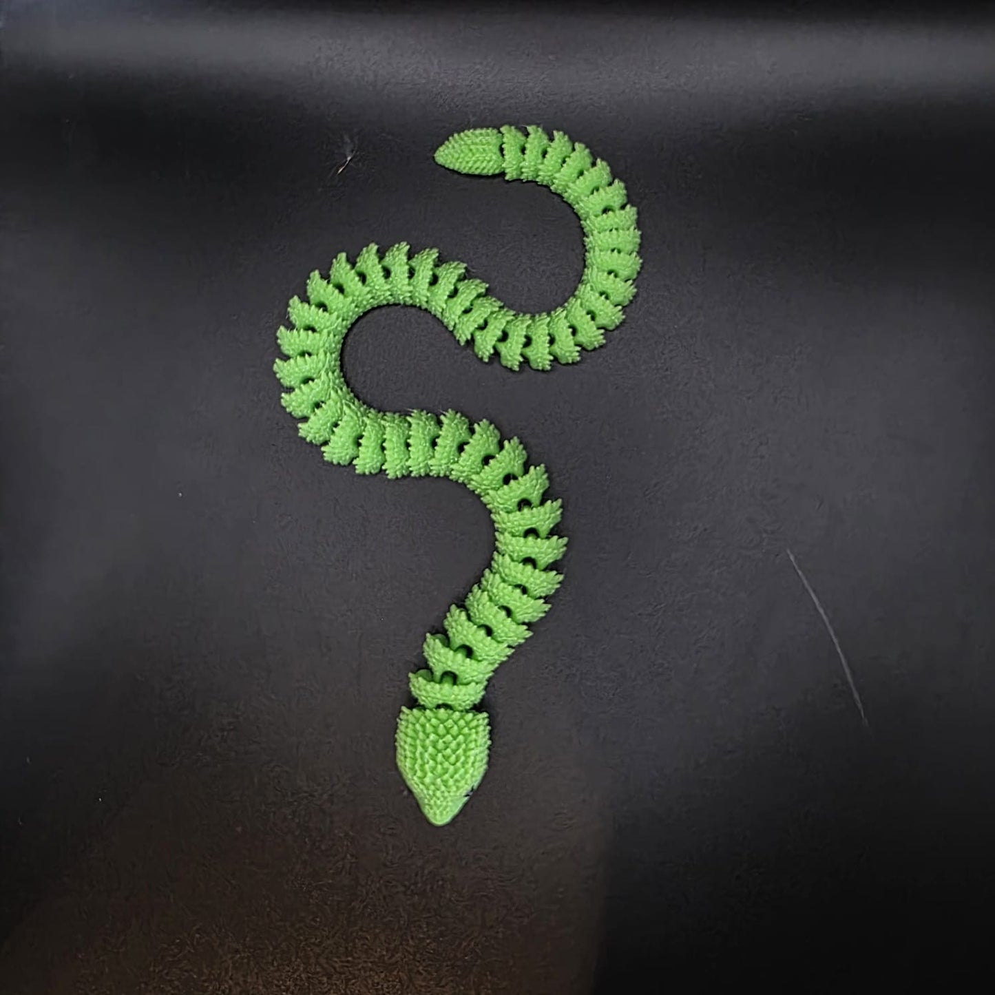 Snake