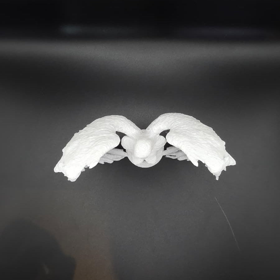 Anjo