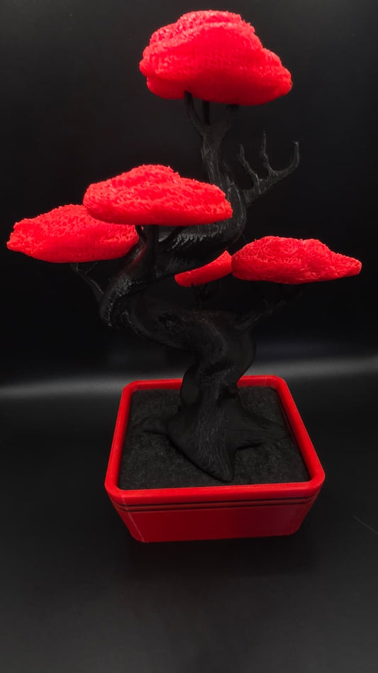 Bonsai