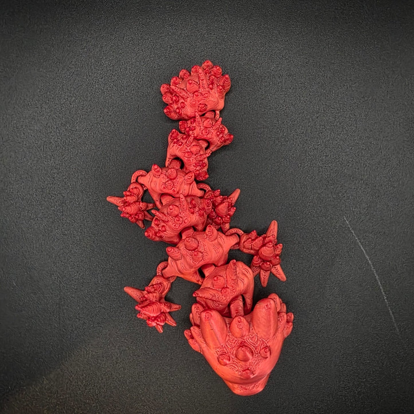 Mini Salamandra